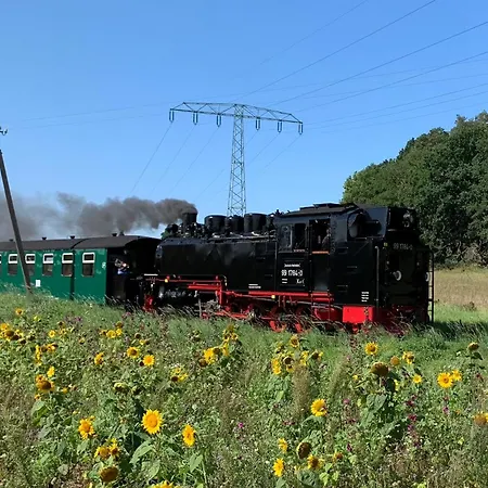 Haus Strelasund Silbermoewe Apartamento *