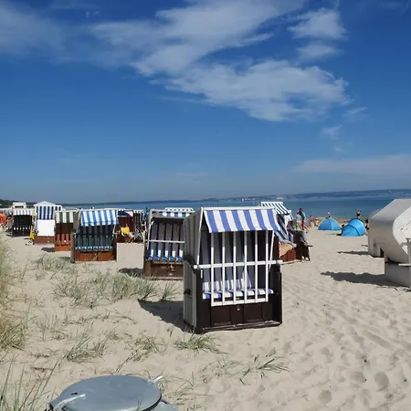 Haus Strelasund Silbermoewe